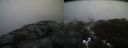 ./images/calvert/buxton2/20170410/buxton220170410_152950M.jpg