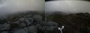 ./images/calvert/buxton2/20170423/buxton220170423_132522M.jpg