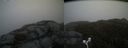 ./images/calvert/buxton2/20170423/buxton220170423_140959M.jpg