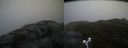 ./images/calvert/buxton2/20170423/buxton220170423_142525M.jpg