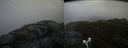 ./images/calvert/buxton2/20170423/buxton220170423_144501M.jpg