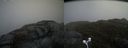 ./images/calvert/buxton2/20170423/buxton220170423_150002M.jpg