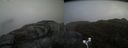 ./images/calvert/buxton2/20170423/buxton220170423_162502M.jpg