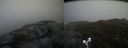 ./images/calvert/buxton2/20170423/buxton220170423_182503M.jpg