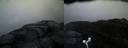 ./images/calvert/buxton2/20170426/buxton220170426_055449M.jpg