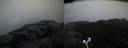 ./images/calvert/buxton2/20170426/buxton220170426_055943M.jpg