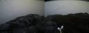 ./images/calvert/buxton2/20170426/buxton220170426_060940M.jpg