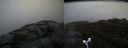 ./images/calvert/buxton2/20170426/buxton220170426_065443M.jpg