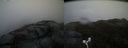 ./images/calvert/buxton2/20170426/buxton220170426_071528M.jpg