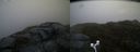 ./images/calvert/buxton2/20170426/buxton220170426_072441M.jpg