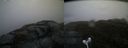 ./images/calvert/buxton2/20170426/buxton220170426_074942M.jpg