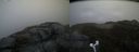 ./images/calvert/buxton2/20170426/buxton220170426_082441M.jpg