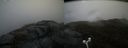 ./images/calvert/buxton2/20170426/buxton220170426_083443M.jpg