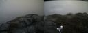 ./images/calvert/buxton2/20170426/buxton220170426_095442M.jpg