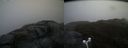 ./images/calvert/buxton2/20170426/buxton220170426_105942M.jpg