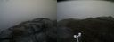 ./images/calvert/buxton2/20170426/buxton220170426_120443M.jpg