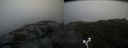 ./images/calvert/buxton2/20170426/buxton220170426_120944M.jpg