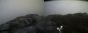 ./images/calvert/buxton2/20170426/buxton220170426_123441M.jpg
