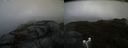 ./images/calvert/buxton2/20170426/buxton220170426_150941M.jpg