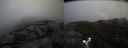 ./images/calvert/buxton2/20170426/buxton220170426_151941M.jpg