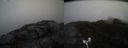 ./images/calvert/buxton2/20170426/buxton220170426_155517M.jpg