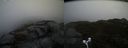 ./images/calvert/buxton2/20170426/buxton220170426_173942M.jpg