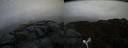 ./images/calvert/buxton2/20170426/buxton220170426_174943M.jpg