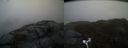 ./images/calvert/buxton2/20170426/buxton220170426_183443M.jpg