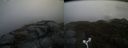 ./images/calvert/buxton2/20170426/buxton220170426_184943M.jpg