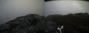 ./images/calvert/buxton2/20170427/buxton220170427_091942M.jpg