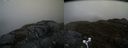 ./images/calvert/buxton2/20170427/buxton220170427_092441M.jpg
