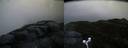 ./images/calvert/buxton2/20170503/buxton220170503_055514M.jpg