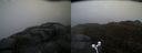 ./images/calvert/buxton2/20170503/buxton220170503_062508M.jpg