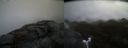 ./images/calvert/buxton2/20170503/buxton220170503_085517M.jpg