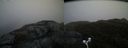 ./images/calvert/buxton2/20170503/buxton220170503_193008M.jpg