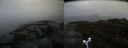 ./images/calvert/buxton2/20170504/buxton220170504_100518M.jpg