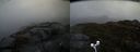 ./images/calvert/buxton2/20170504/buxton220170504_103019M.jpg