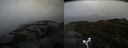 ./images/calvert/buxton2/20170504/buxton220170504_103522M.jpg