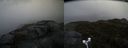./images/calvert/buxton2/20170504/buxton220170504_114508M.jpg