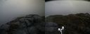 ./images/calvert/buxton2/20170504/buxton220170504_120017M.jpg