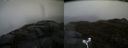 ./images/calvert/buxton2/20170504/buxton220170504_150008M.jpg