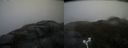./images/calvert/buxton2/20170504/buxton220170504_165017M.jpg