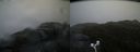 ./images/calvert/buxton2/20170505/buxton220170505_070010M.jpg