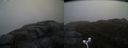 ./images/calvert/buxton2/20170505/buxton220170505_134016M.jpg