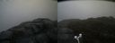 ./images/calvert/buxton2/20170505/buxton220170505_152517M.jpg