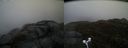 ./images/calvert/buxton2/20170505/buxton220170505_182021M.jpg