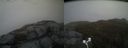 ./images/calvert/buxton2/20170508/buxton220170508_194017M.jpg