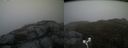 ./images/calvert/buxton2/20170508/buxton220170508_200008M.jpg