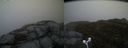 ./images/calvert/buxton2/20170508/buxton220170508_200559M.jpg