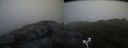 ./images/calvert/buxton2/20170509/buxton220170509_062544M.jpg